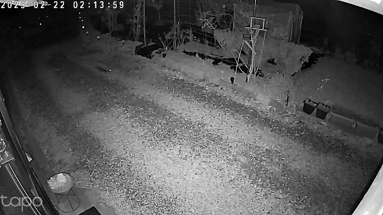 全体のレビュー動画のサムネイル | 13