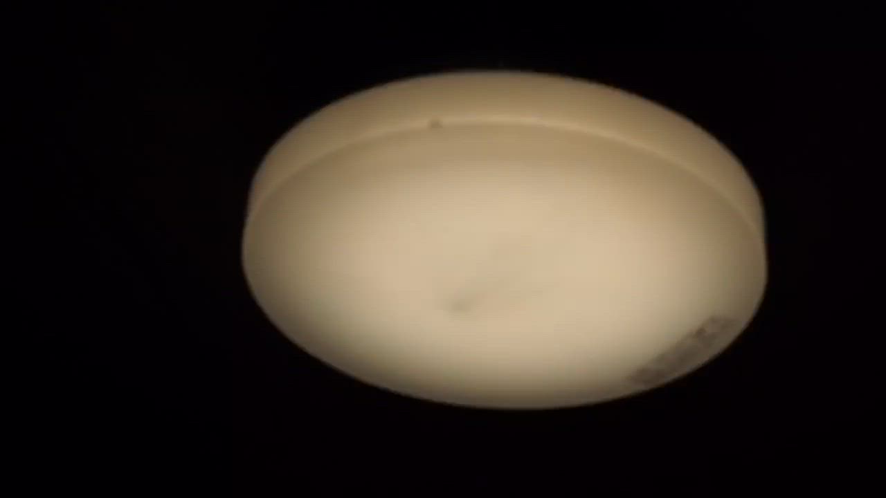 全体のレビュー動画のサムネイル | 13