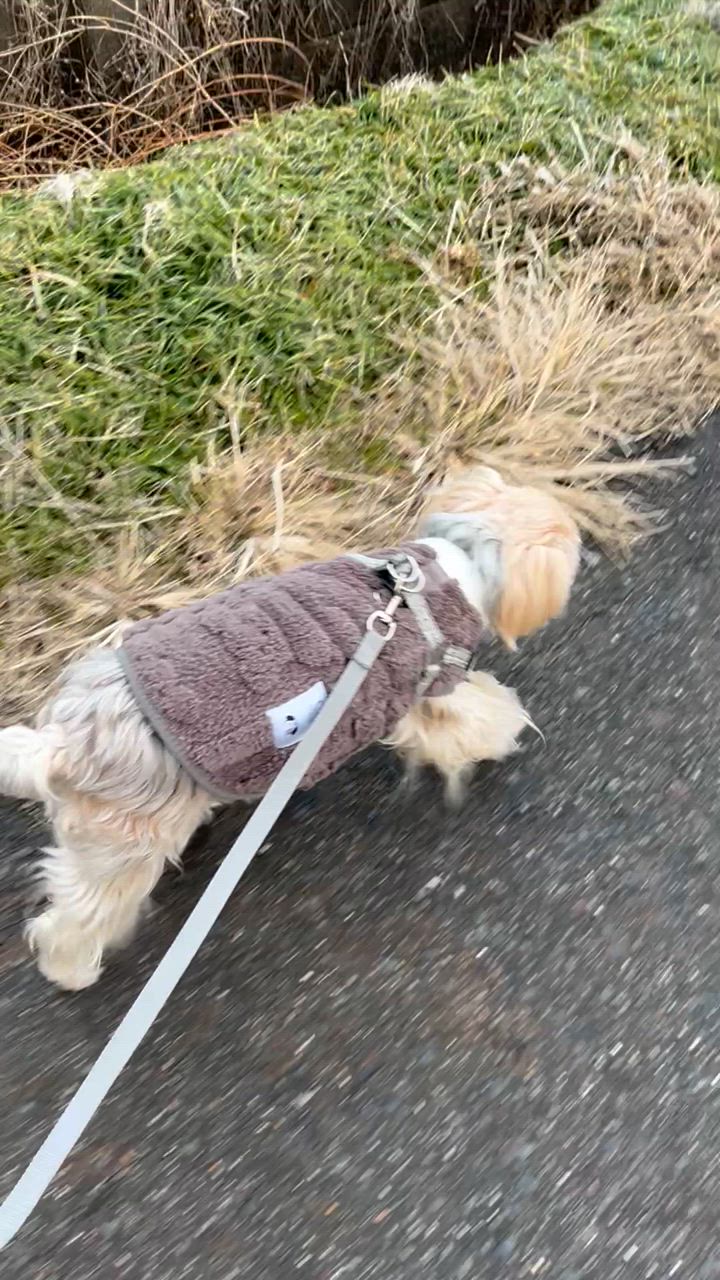 全体のレビュー動画のサムネイル | 6