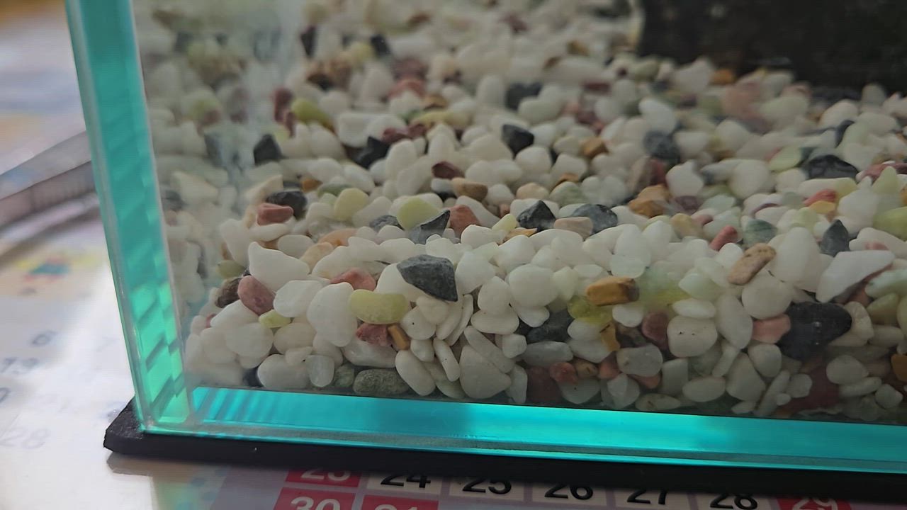 LEGLASS コトブキ工芸 ガラス水槽 クリスタルキューブ 300