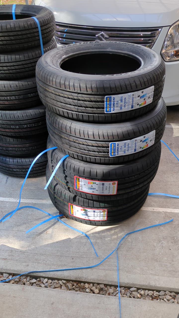 MINERVA 225/50R18 タイヤ サマータイヤ ミネルバ F205