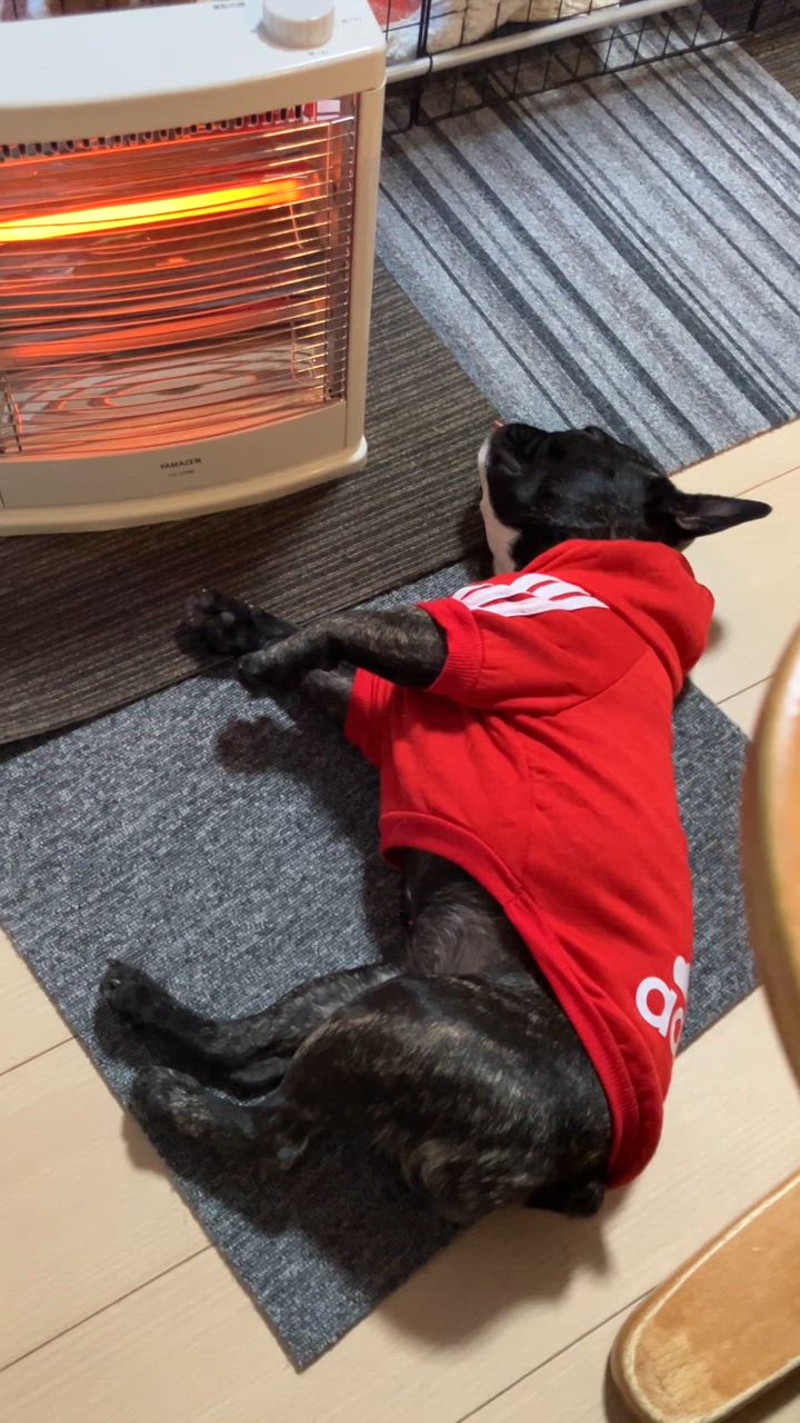 全体のレビュー動画のサムネイル | 3