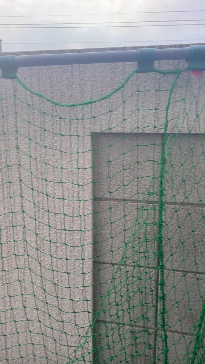 半年保証付】 フィールドフォース 野球 練習器 バッティング 半年保証付】 フィールドフォース 野球 練習器 バッティング
