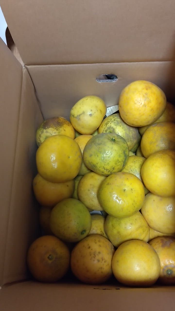 全体のレビュー動画のサムネイル | 10