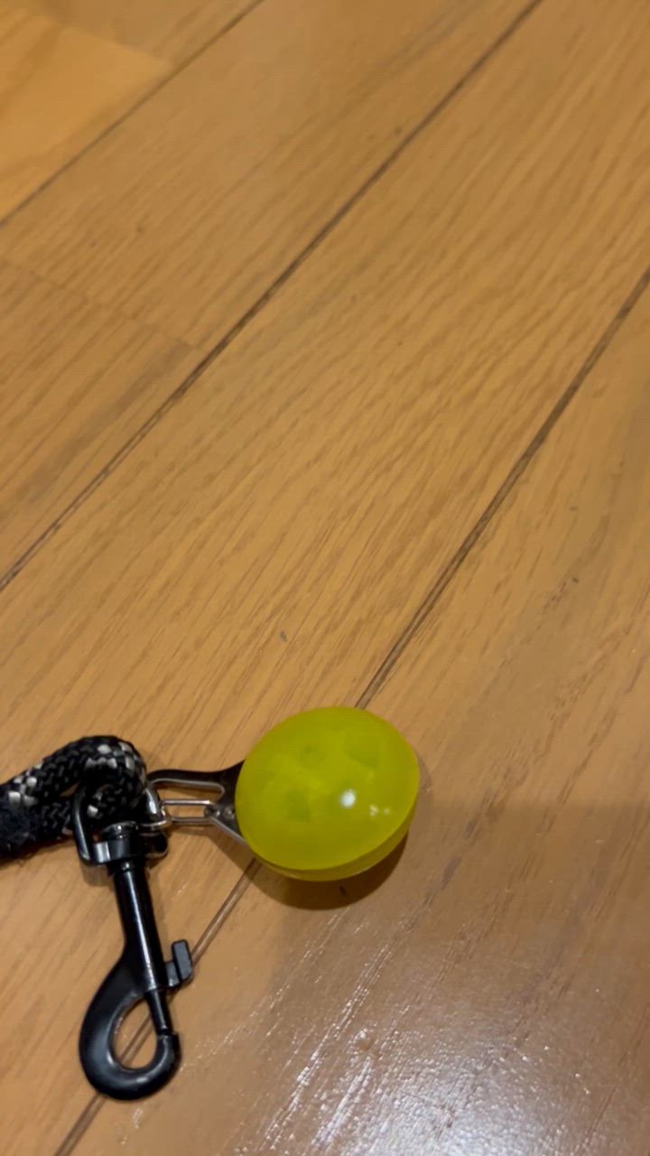 全体のレビュー動画のサムネイル | 0