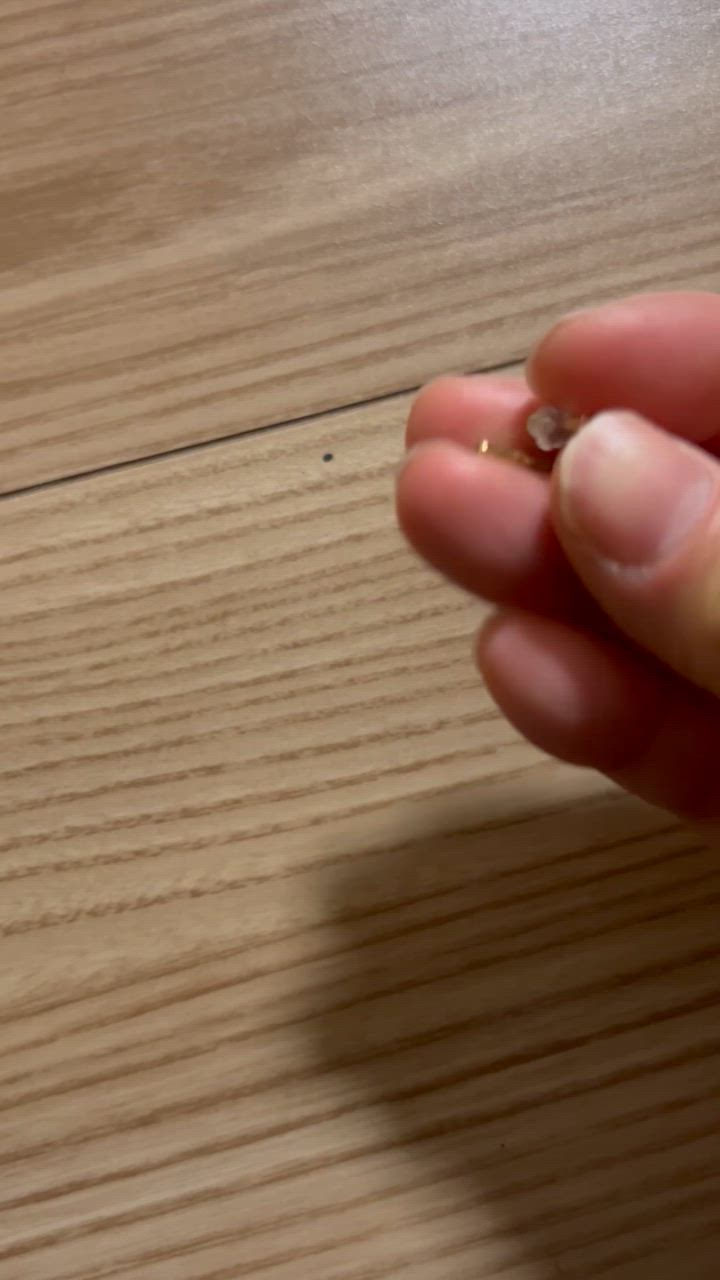 全体のレビュー動画のサムネイル | 1