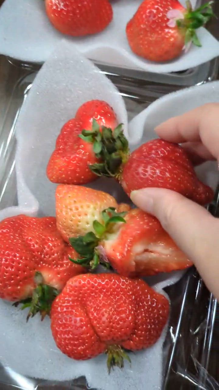 5件目のレビュー動画のサムネイル | 0