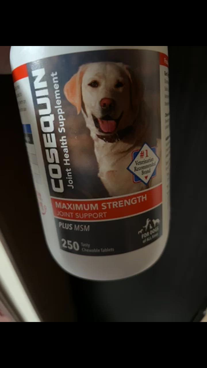 COSEQUIN 犬用関節サプリメント 250粒 Amazon.com : Nutramax Cosequin for Dogs Joint Health