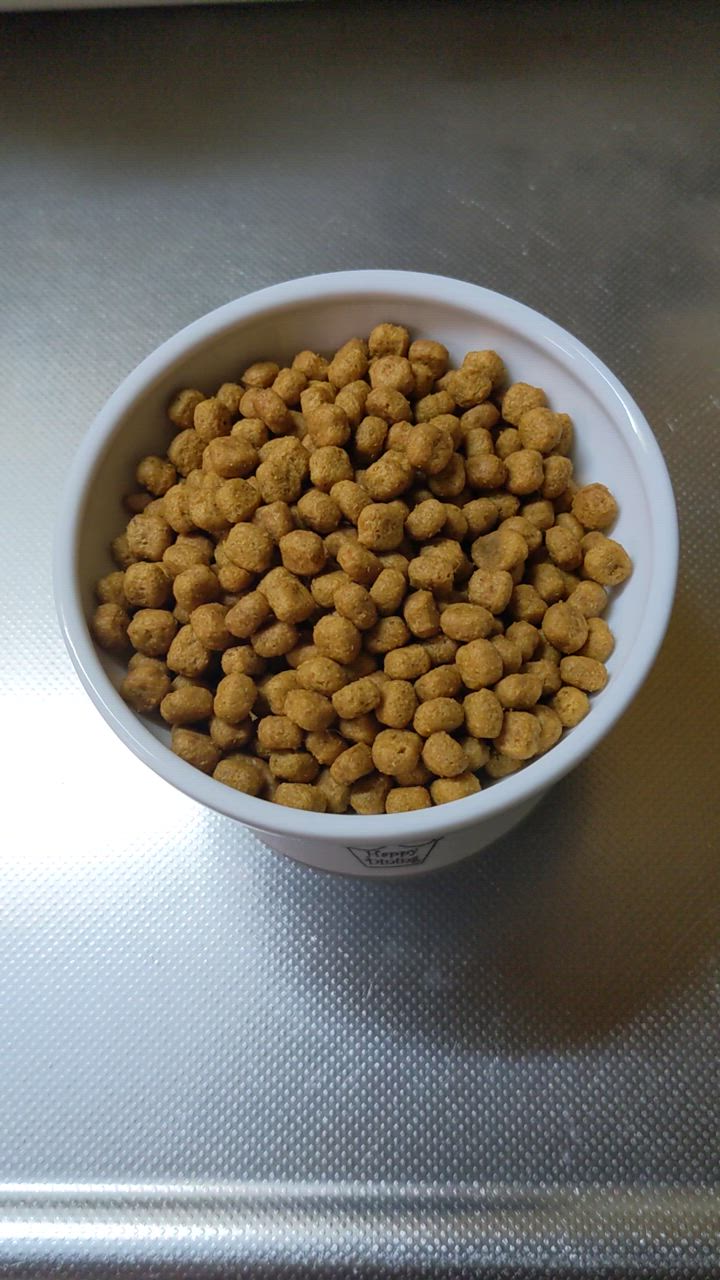 全体のレビュー動画のサムネイル | 0