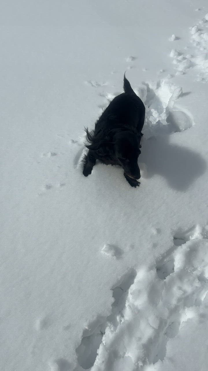 全体のレビュー動画のサムネイル | 5