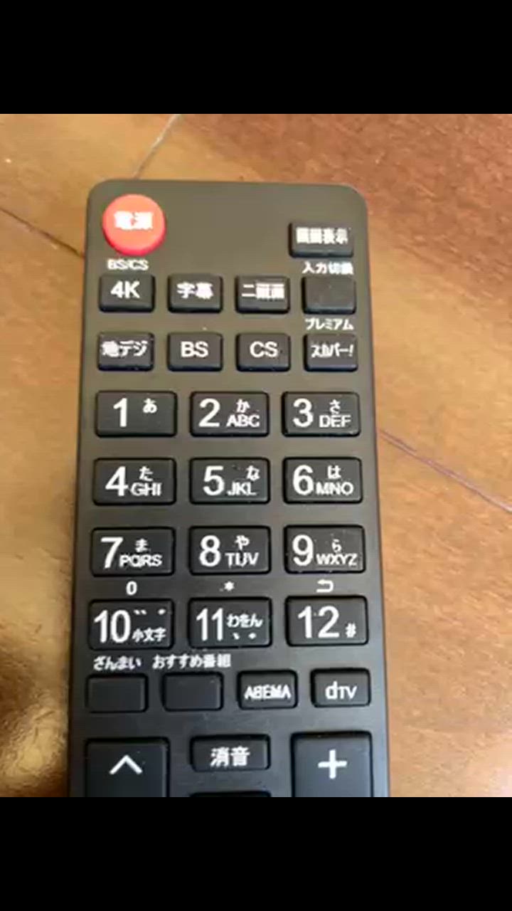 REMOSTA 東芝 レグザ テレビ リモコン CT-90488 CT-90487 CT