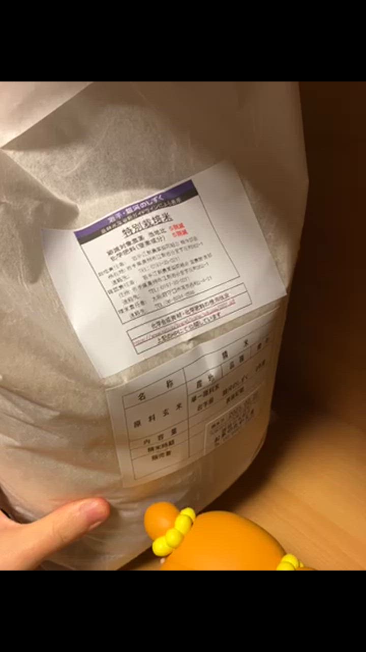 日本の銘米 米 5kg 特別栽培米 銀河のしずく 特A 岩手県産 お米