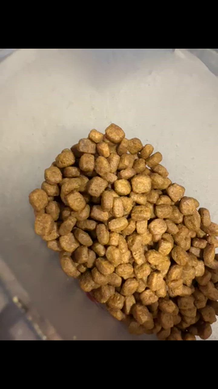 全体のレビュー動画のサムネイル | 0