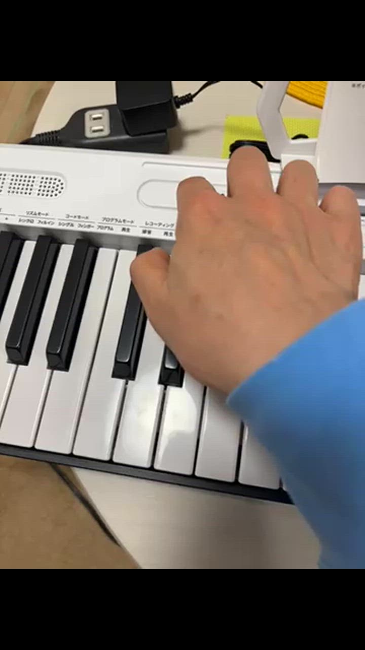 キーボード ピアノ 61鍵盤 超軽量スリム設計 TORTE TSDK-61