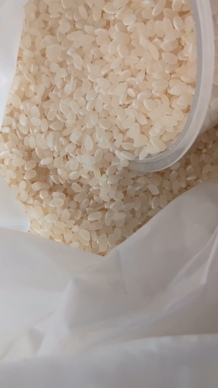 ひとめぼれ 米 10kg 白米 5kg×2袋 岩手県産ひとめぼれ 令和6年産 ひとめぼれ 米 10kg 白米 5kg×2袋 岩手県産ひとめぼれ 令和6年産