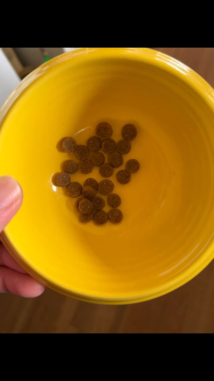 ヒルズ 食事療法食 猫用 k/d ケーディー 腎臓ケア ツナ ドライ ヒルズ 食事療法食 猫用 k/d ケーディー 腎臓ケア ツナ ドライ