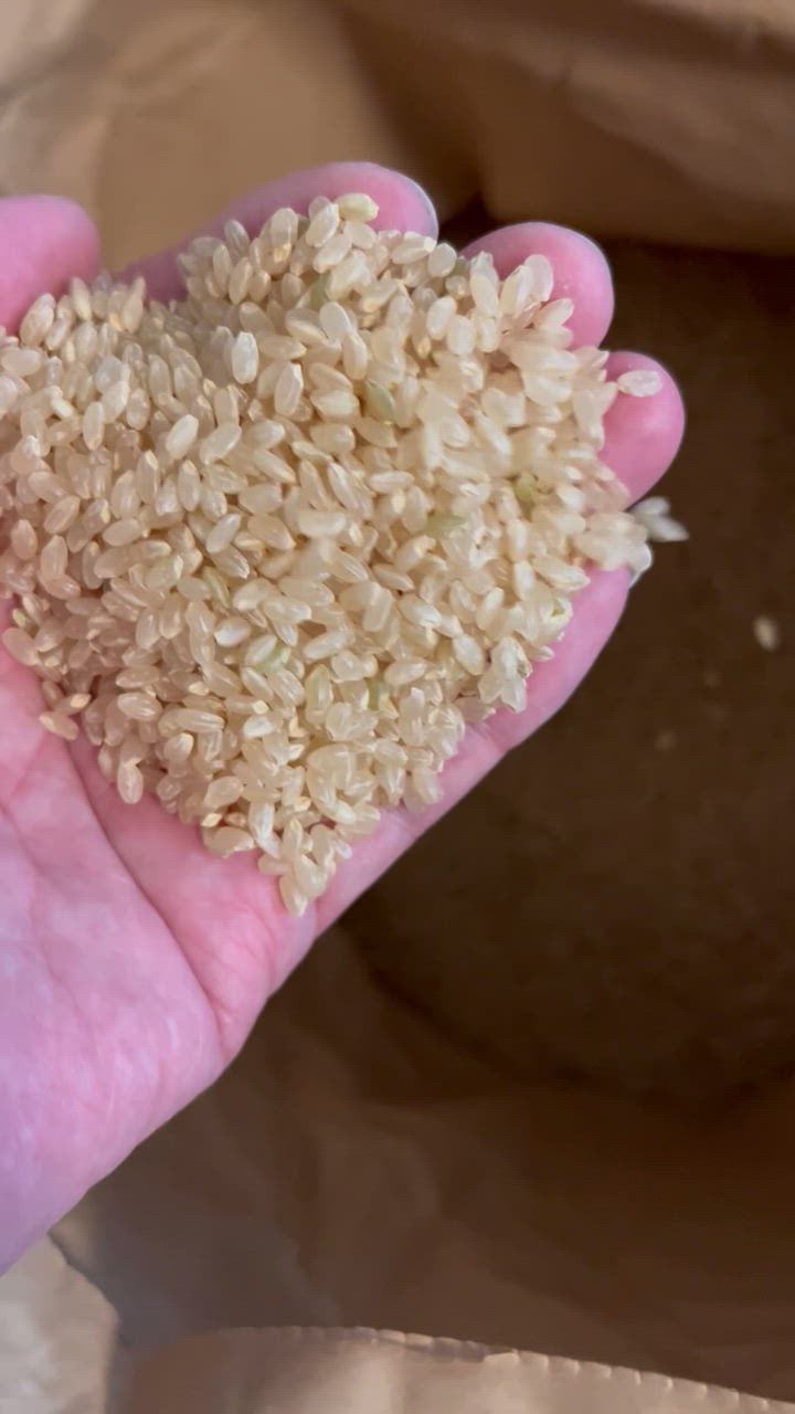 Amazon.co.jp: こまち協会 秋田県産あきたこまち玄米鉄分 1.7kg