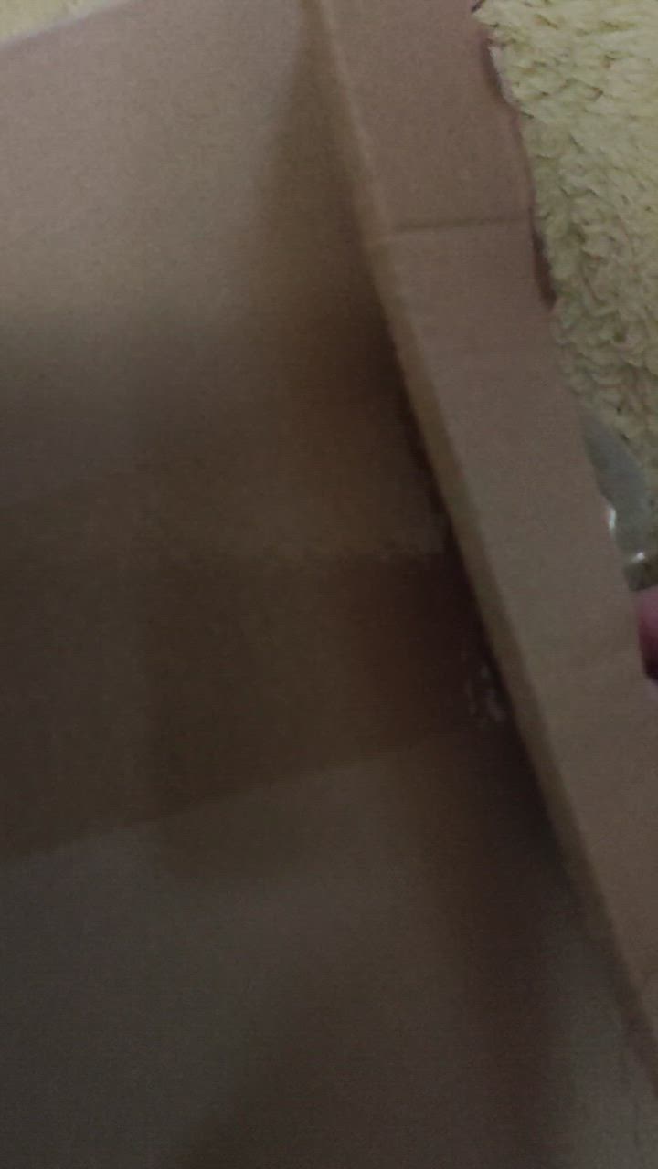 全体のレビュー動画のサムネイル | 10