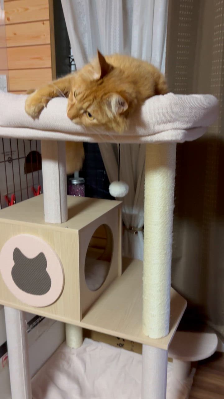 ❤️1品限り❤️キャットタワー 161cm ハンモック 木製 天然麻紐 大型猫用 楽天市場】キャットタワー 木製 スリム 夏 大型猫 広い