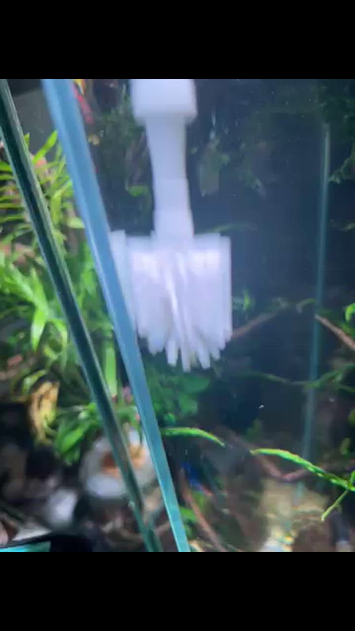 全体のレビュー動画のサムネイル | 0