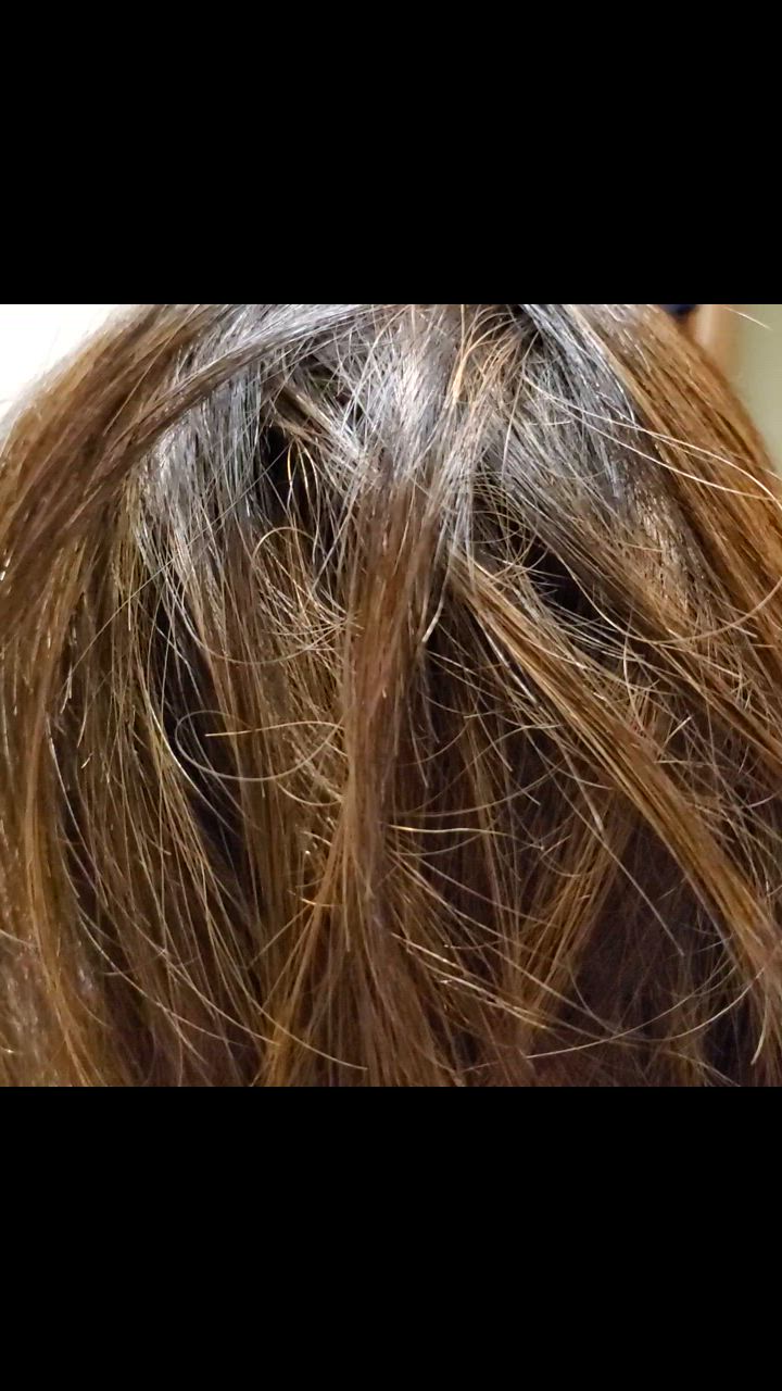 全体のレビュー動画のサムネイル | 4