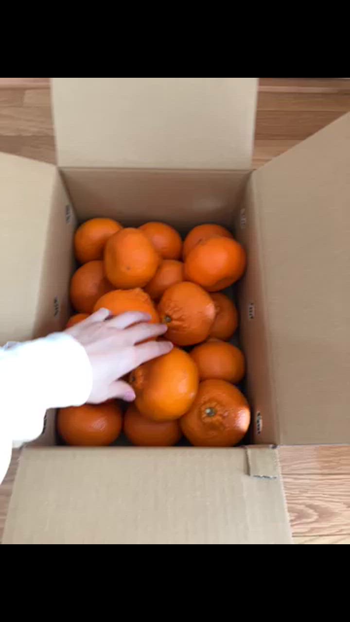 阿波かつうら熟成みかん10kg | Lacycle mall（ラシクルモール）