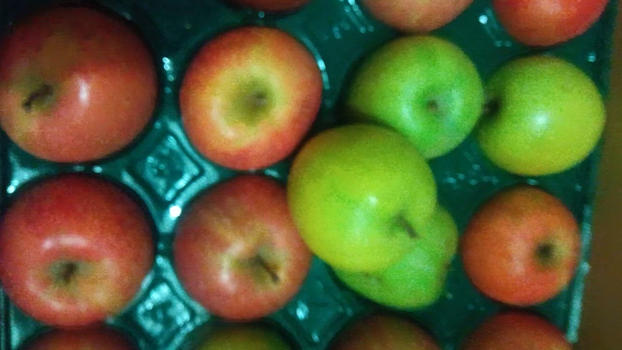 全体のレビュー動画のサムネイル | 11