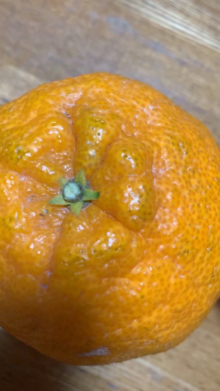 ふるさと納税 湯浅町 糖度13度以上　JAありだAQ中央のデコポン(和歌山県産)　秀品　約5キロ(12〜24玉) 糖度13度以上 JAありだAQ中央のデコポン(和歌山県産) 秀品 約5キロ(12