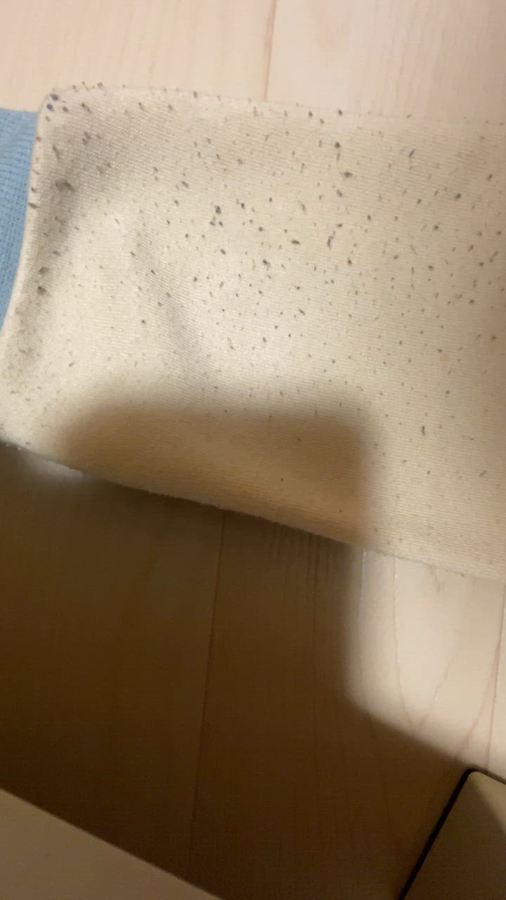 全体のレビュー動画のサムネイル | 13