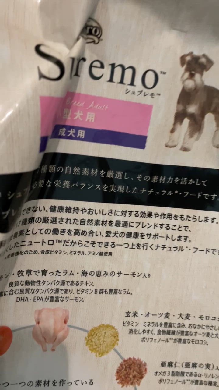 シュプレモ 公認店 ニュートロ 小型犬用 成犬用 6kg ごはん ご飯