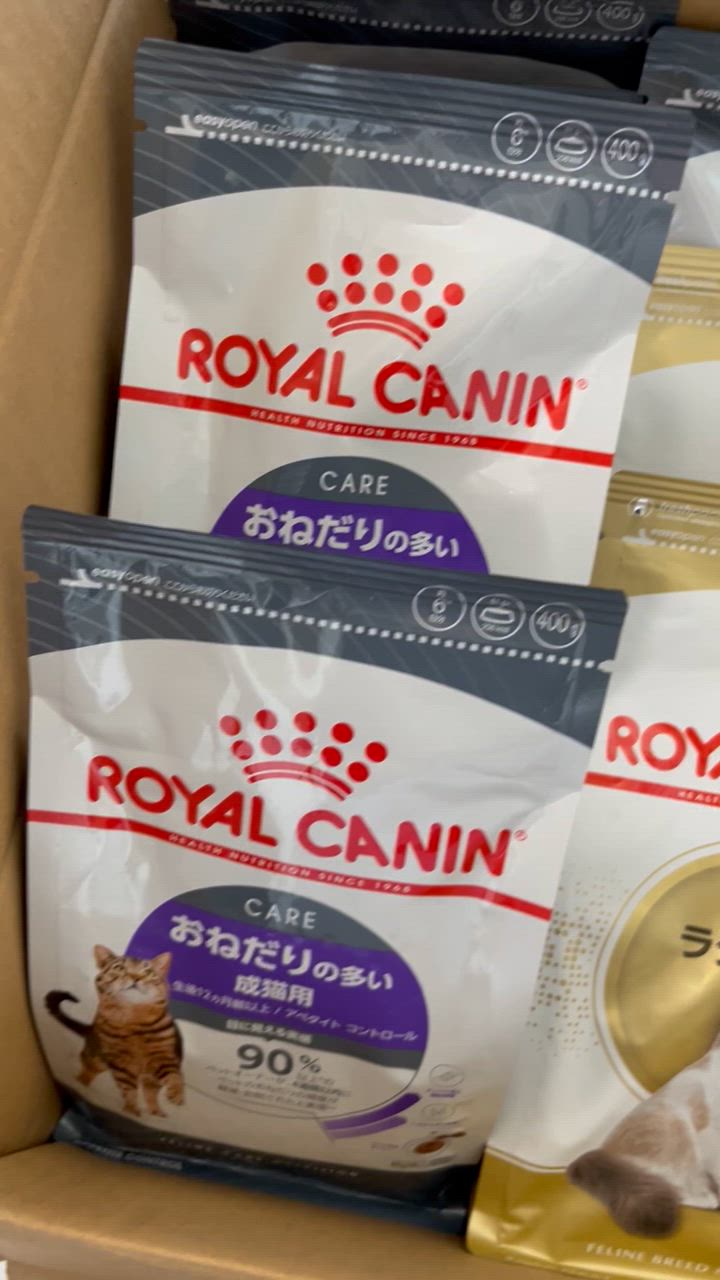 全体のレビュー動画のサムネイル | 0