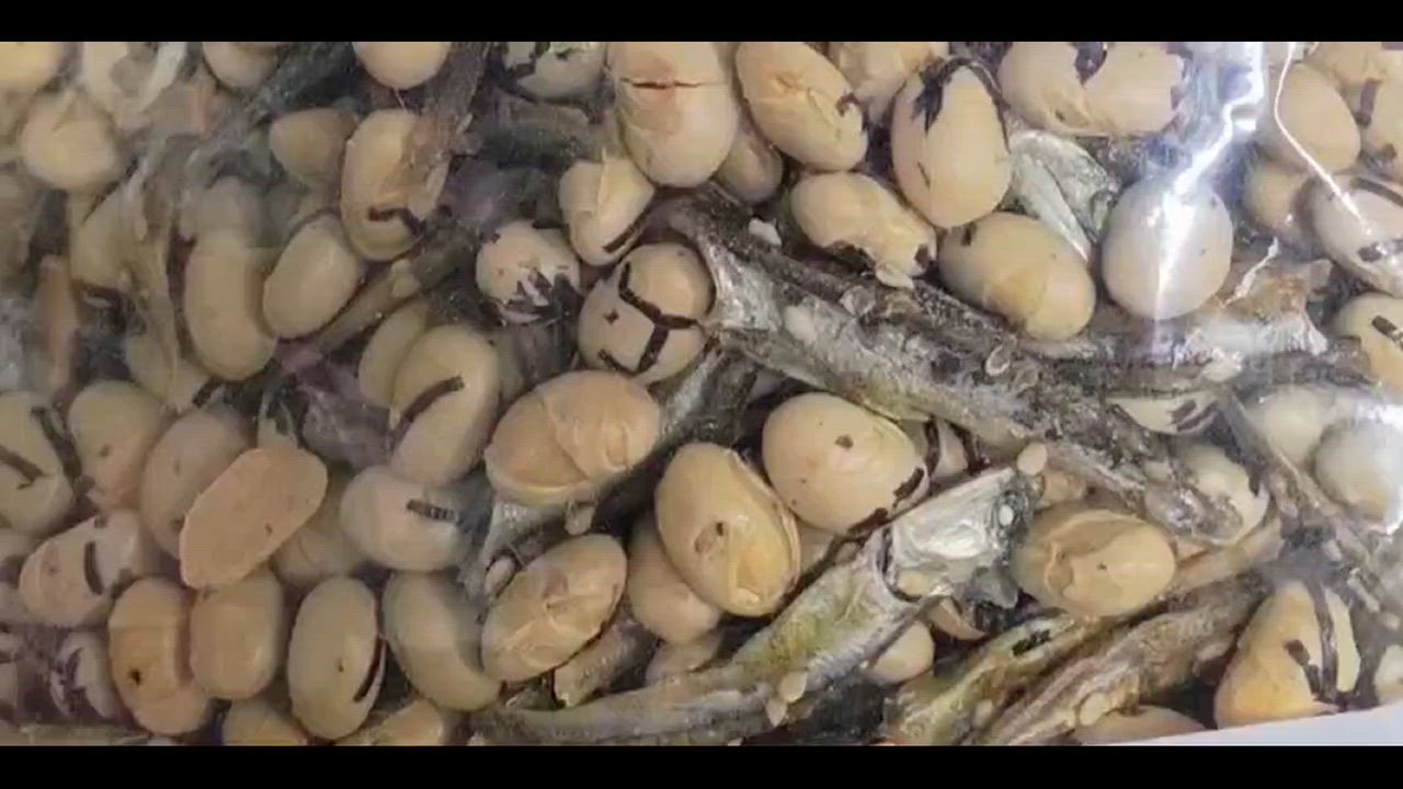 全体のレビュー動画のサムネイル | 0