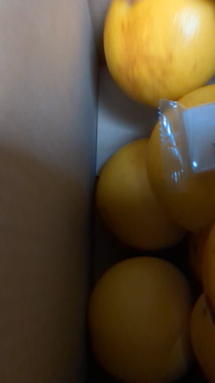 全体のレビュー動画のサムネイル | 1