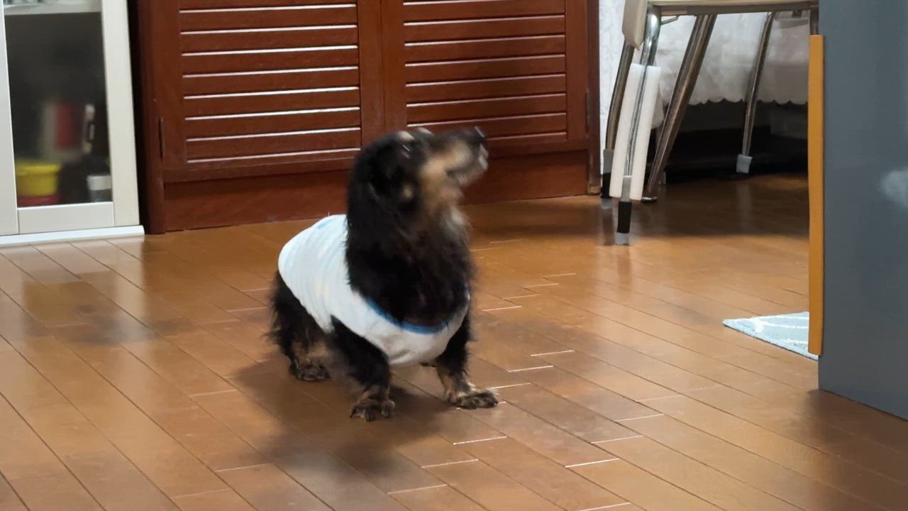 全体のレビュー動画のサムネイル | 0