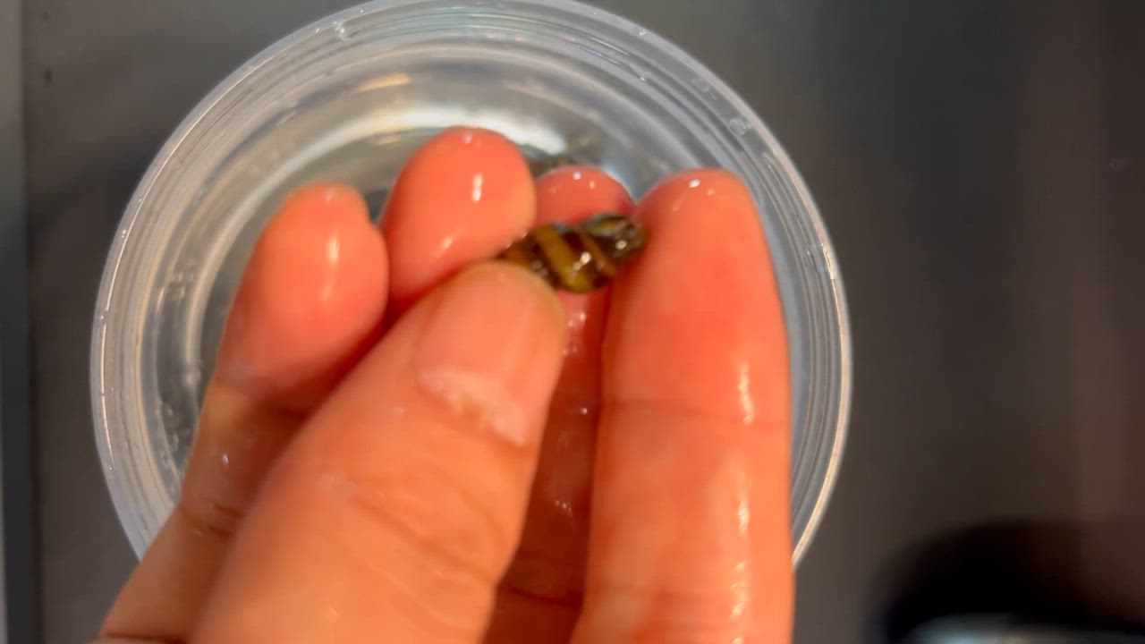 全体のレビュー動画のサムネイル | 0