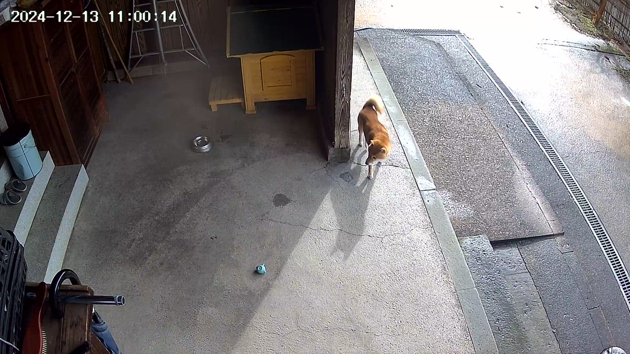 1件目のレビュー動画のサムネイル | 0