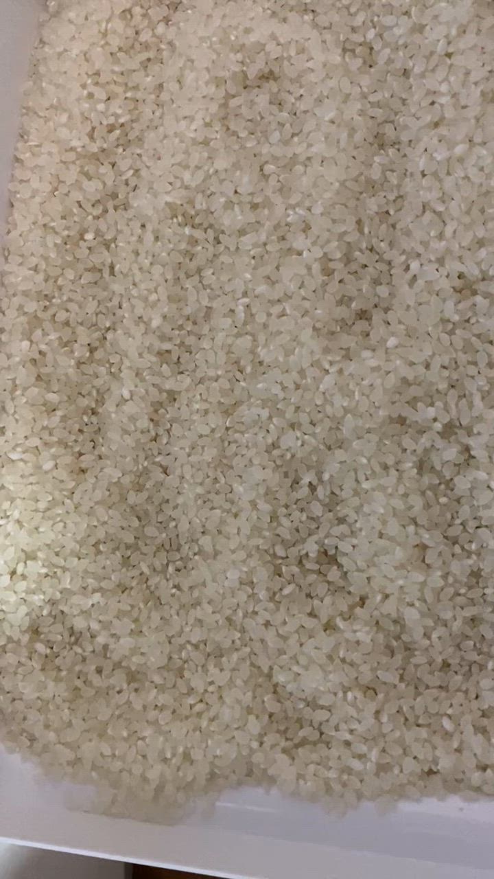 コシヒカリ 米 令和6年 30kg 玄米30kg 新潟県南魚沼 しおざわ産 コシヒカリ 米 令和6年 30kg 玄米30kg 新潟県南魚沼 しおざわ産