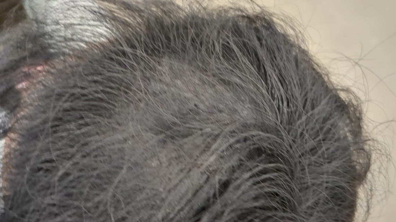 全体のレビュー動画のサムネイル | 1