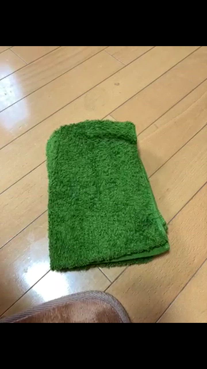 全体のレビュー動画のサムネイル | 2