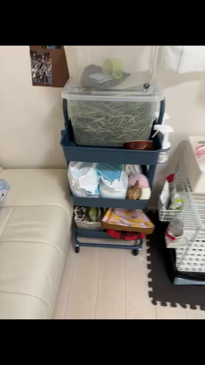 全体のレビュー動画のサムネイル | 1