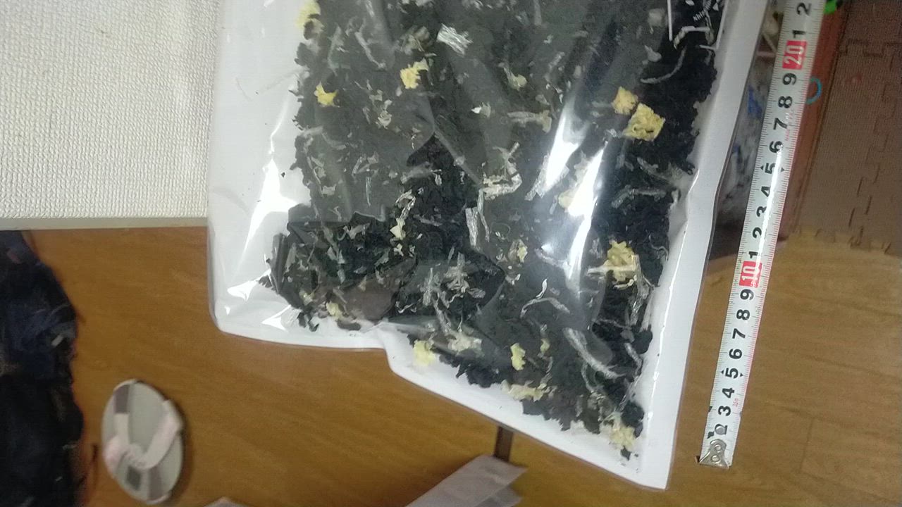 全体のレビュー動画のサムネイル | 10
