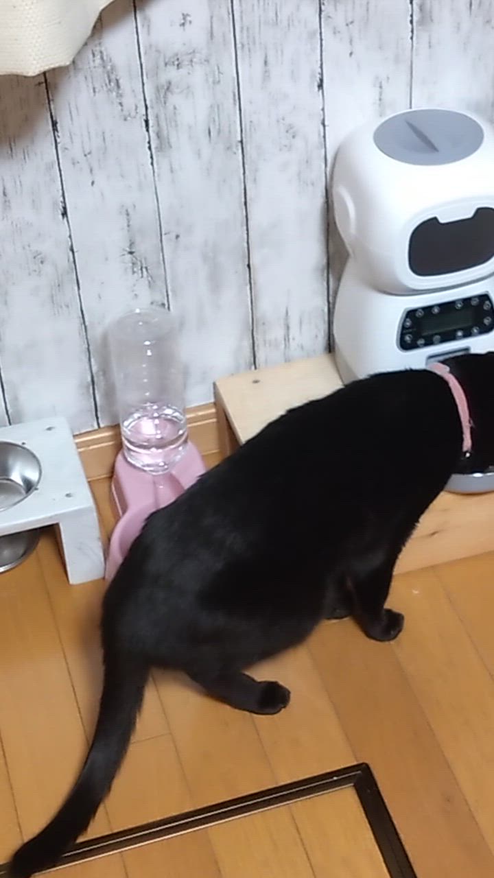 全体のレビュー動画のサムネイル | 4