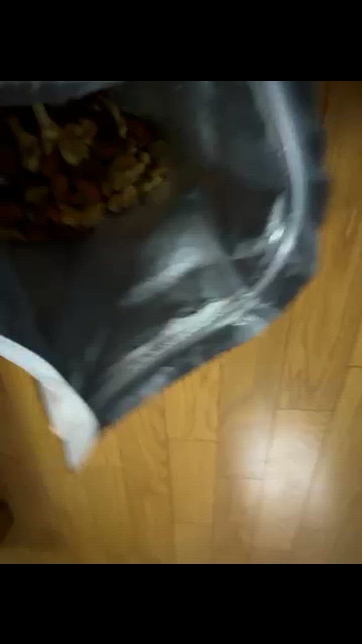 全体のレビュー動画のサムネイル | 4