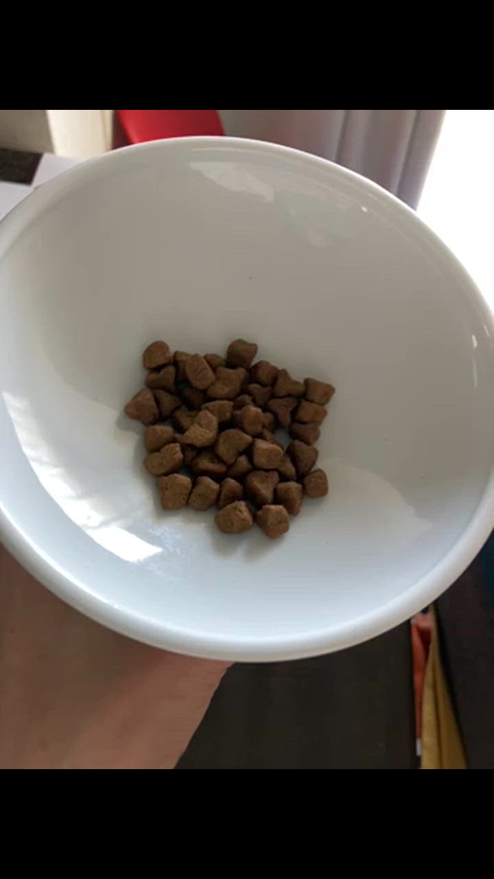 全体のレビュー動画のサムネイル | 1