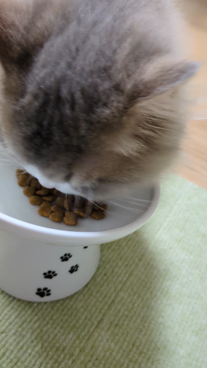 全体のレビュー動画のサムネイル | 0