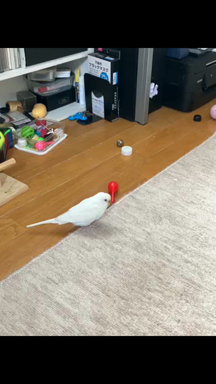 全体のレビュー動画のサムネイル | 0