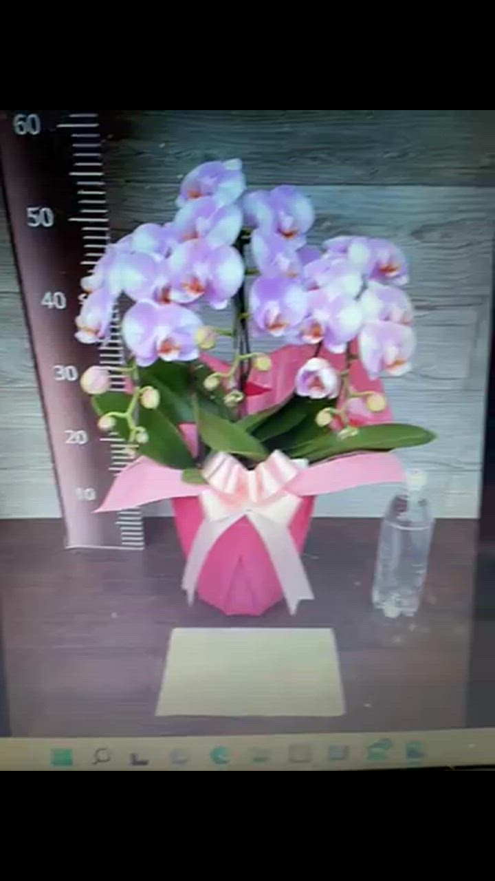 全体のレビュー動画のサムネイル | 1