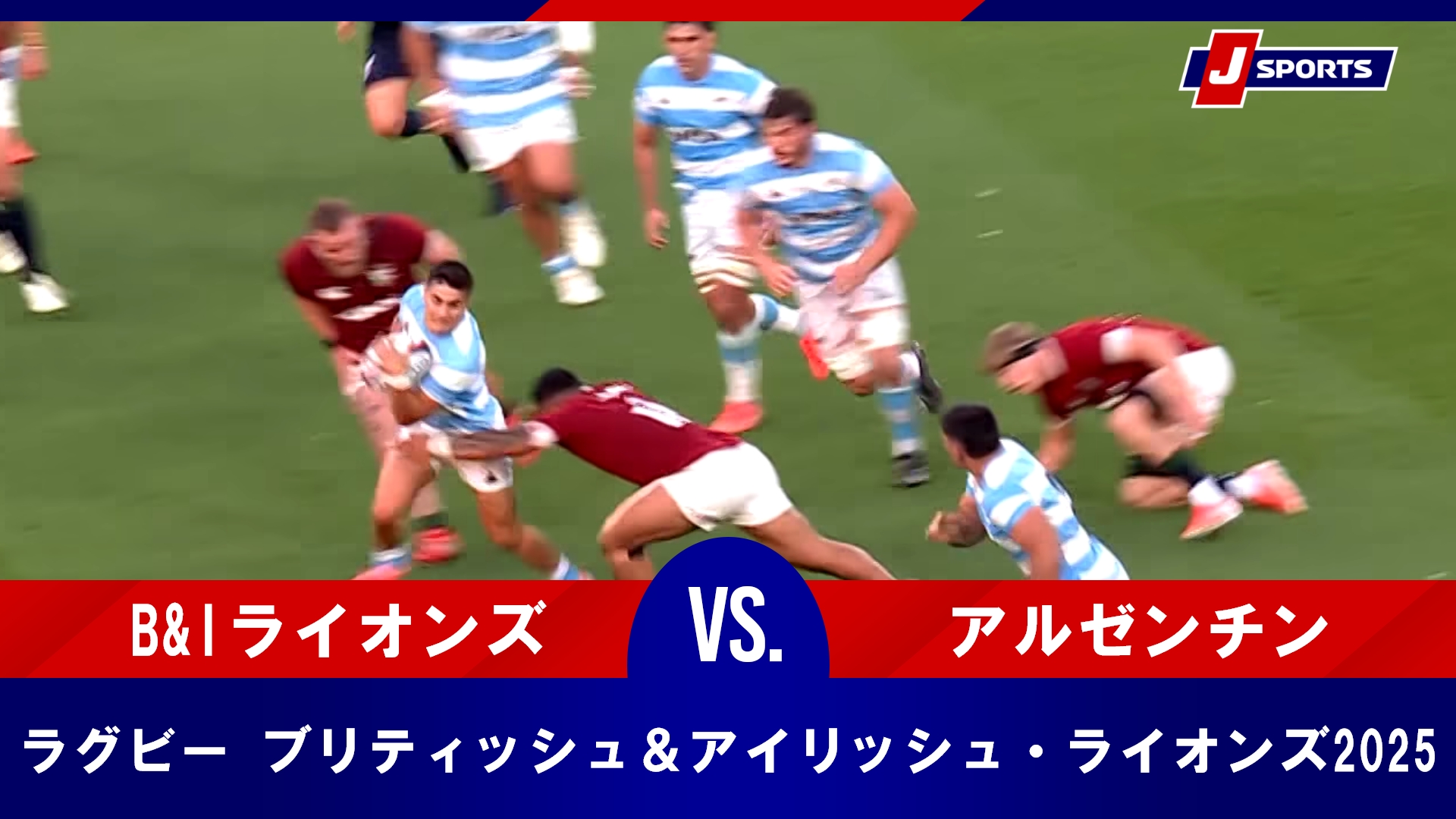 (未使用)(値引き)(NZツアー)ブリティッシュ　アイリッシュライオンズ2017 未使用)(値引き)(NZツアー)ブリティッシュ アイリッシュ