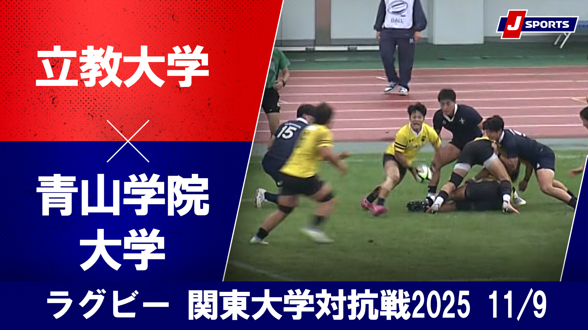 【ハイライト】立教大学 vs. 青山学院大学｜ラグビー 関東大学対抗戦2025（11月9日）