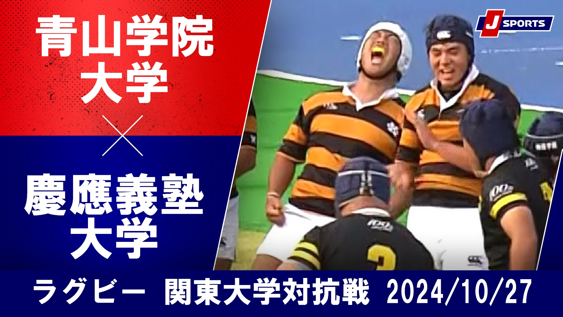 【ハイライト】青山学院大学 vs. 慶應義塾大学｜ラグビー 関東大学対抗戦2024 #c_rugby